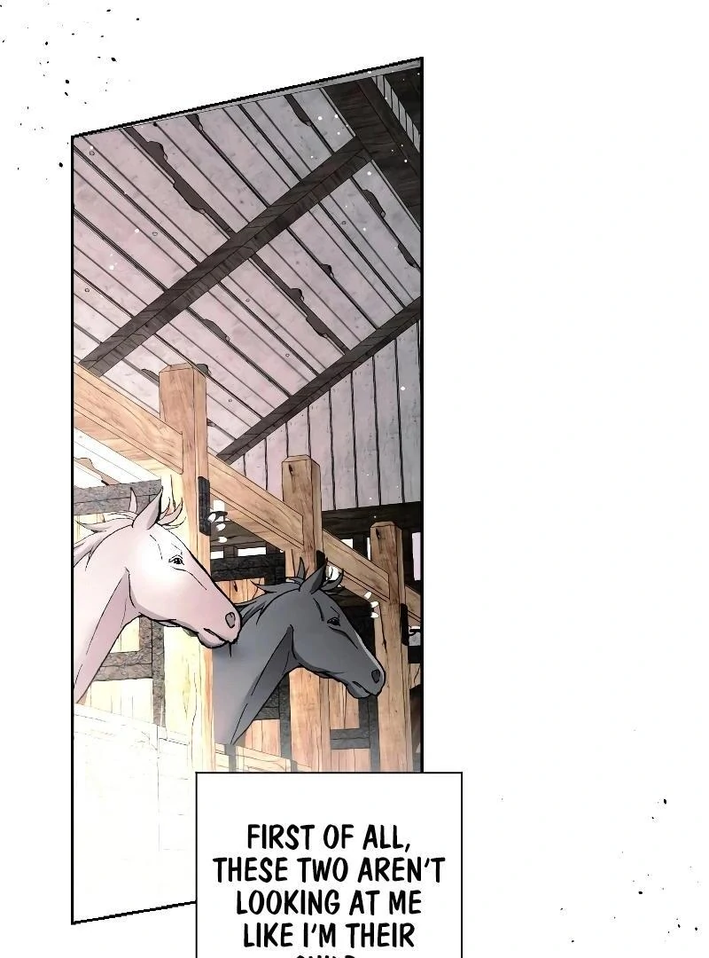 74288200 800 1080 95622